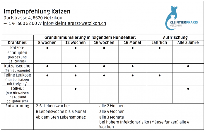 Impfempfehlung Katzen