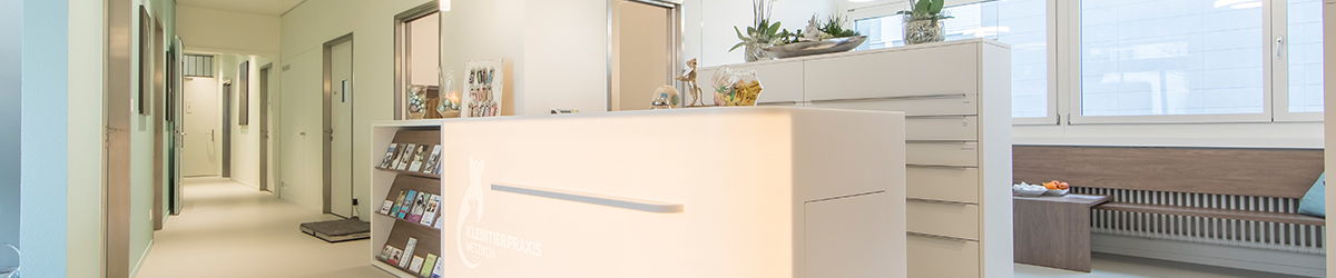 Testinhalt Header 03 1200x250